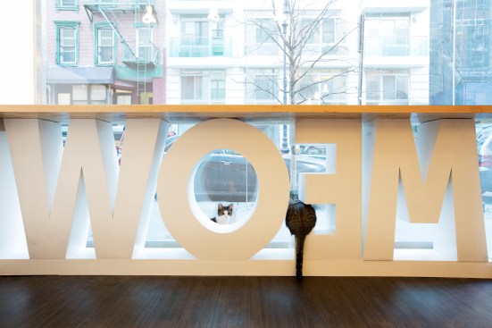 Storefront
