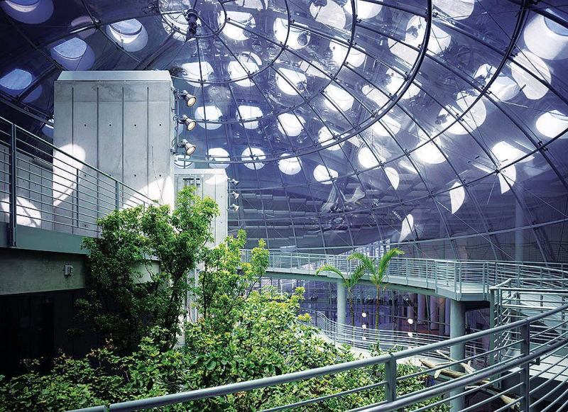 California Academy of Sciences