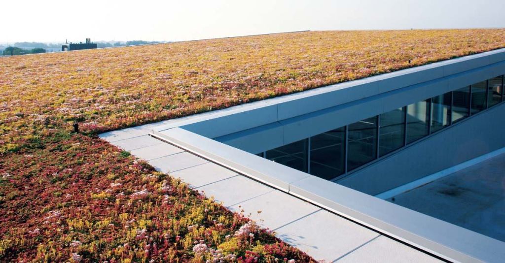 LiveRoof and their greenhouse partners customize this prevegetated, invisible green roof system to the climate and structure of each building. The modules hold soil and seeds and are completely selfcontained. They need no filter fabrics or drainage channels.



1' x 2' modules in 1 7/8" or 3 1/4" depths

liveroof.com