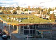 Extensive garden roof



American Hydrotechwww.hydrotechusa.com

Helps mitigate "urban heat island" effect and reduce stormwater runoff - Requires only 3 to 4 inches of growing medium and weighs 18 to 34 pounds per square foot when wet - Can be used on flat or sloping roofs - Rubberized asphalt roofing membrane produced with minimum 25 percent recycled content