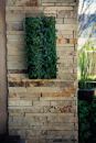 The BrightGreen Living Wall Planter consists of a single polymer unit lined with a moisture mat. Three sizes are available: 20" by 20" by 2-1/2", 10" by 20" by 4", and 8" by 18" by 4". Each planting cell can be populated with plants from a local nursery. Units can be hung separately or in groups on any vertical surface using a supplied mounting bracket. ¢ brightgreenusa.com