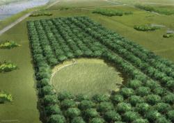 Aerial view of memorial grove.