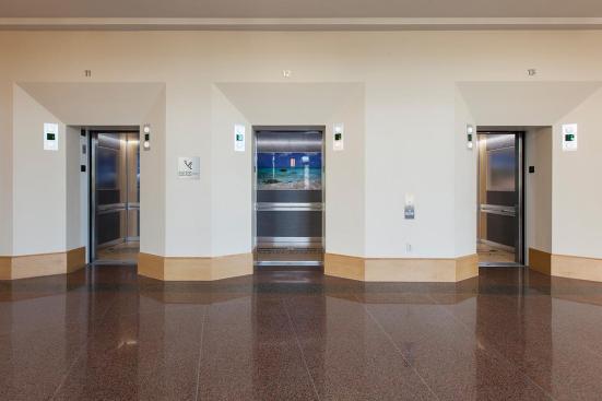 LEVELe-102 Elevator Interiors with LightPlane Panel in ViviGraphix Spectra glass with custom pattern interlayer and Standard finish; main panels in Bonded Aluminum with Dark Patina and Grass pattern; large accent panels in Stainless Steel with Sandstone finish; small accent panels in White Birch wood veneer at Florida Hospital Celebration Health, Celebration, Florida