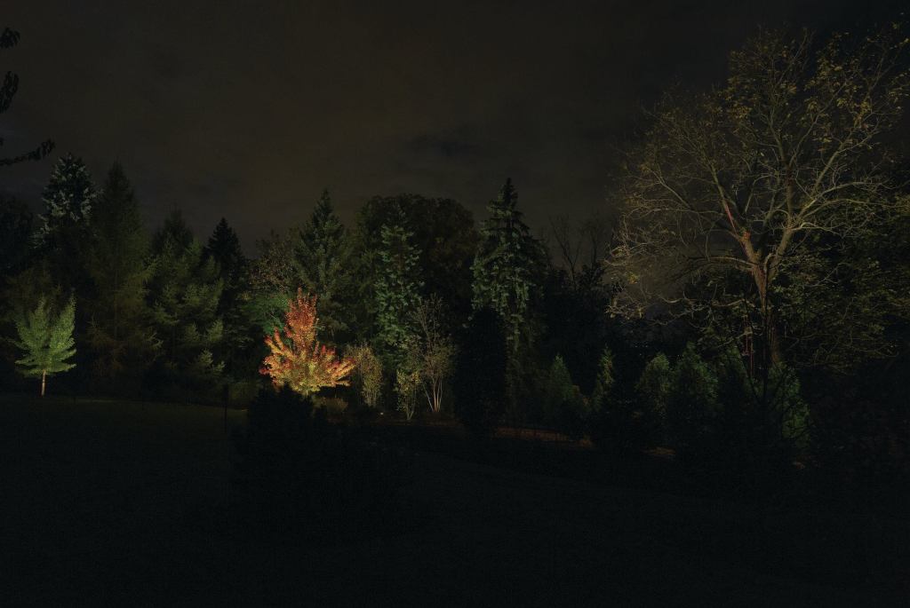 Landscape lighting scene for the Burn Pile area at Saluki Park, designed by Group 1 as part of the International Landscape Lighting Institute's fall 2013 workshop.This quarter-acre area was formerly the burn pile for the property.