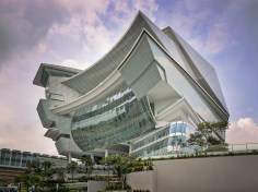 The STAR complex