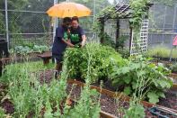 Hubert H. Humphrey Elementary School in Staten Island, N.Y. became recognized as a Green Ribbon School this year for its array of STEM-based learning programs where students can do projects from growing gardens to building solar-powered vehicles.