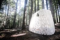 The "Echoviren installation," by Smith|Allen.
