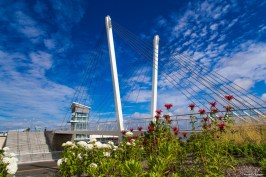 Christina and John Markey Memorial Pedestrian Bridge