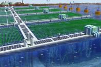 An artist’s rendering of a full-scale implementation of NASA’s OMEGA technology, which uses algae to wastewater into biofuel.