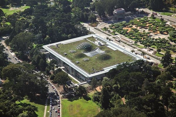 California Academy of Sciences, 2000–08.