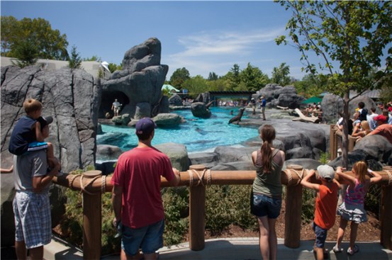 Main Viewing Area