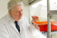 Professor Edward Cocking tests plants modified to fix nitrogen from the air.