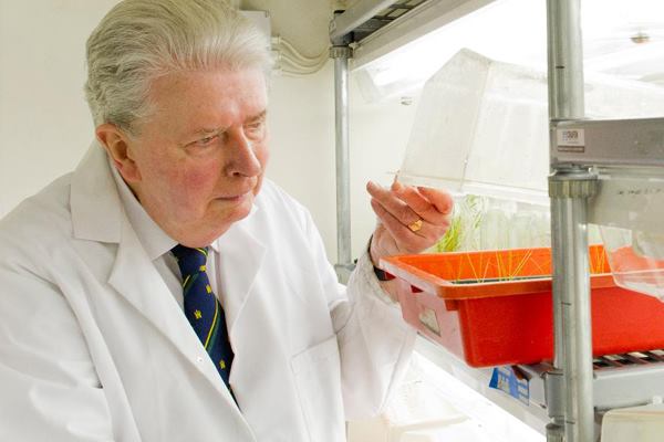 Professor Edward Cocking tests plants modified to fix nitrogen from the air.