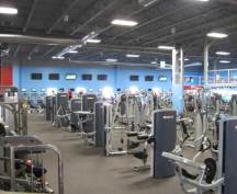 World Gym