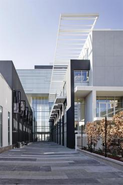 The buildings side elevation steps back in deference to the adjacent Roux Houses public space. Its front facade echoes the height and color of the black box theater across the alley.