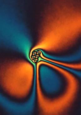 A colloid made from a particle injected in liquid crystal.