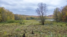 Under the watch of the National Park Service, $3 million worth of illegal construction projects went on for nearly a decade at Effigy Mounds National Monument in northeast Iowa.