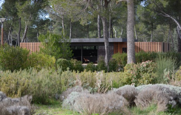 Pop-Up+House_general+View
