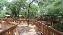 wooden+boardwalk