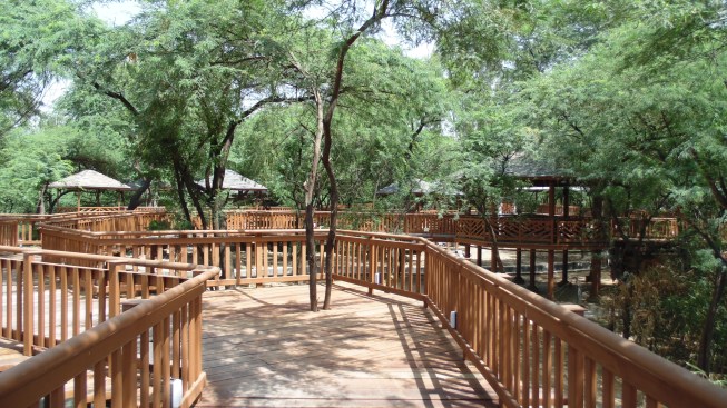 wooden+boardwalk