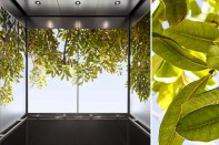 The Zoom
Digital Darkroom, “Canopy” Zoom Image, and ViviGraphix Spectra glass bring
nature’s beauty to a LEVELe Elevator Interior.&nbsp;&nbsp;