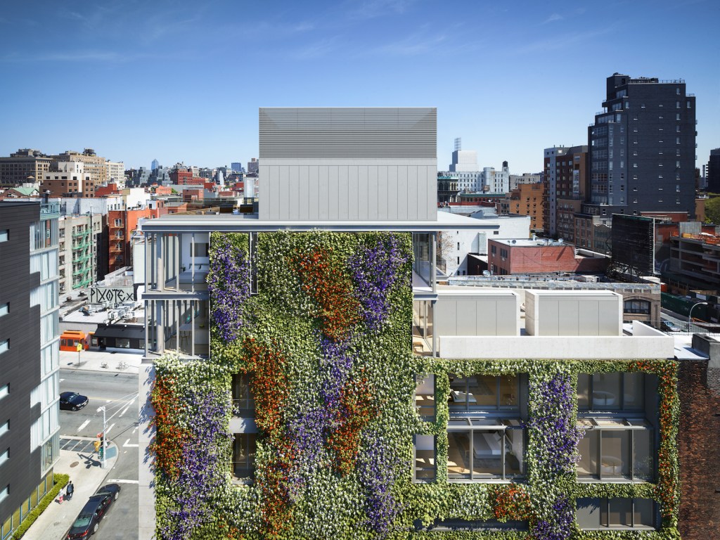 The vines used for the green wall will change color with the seasons.