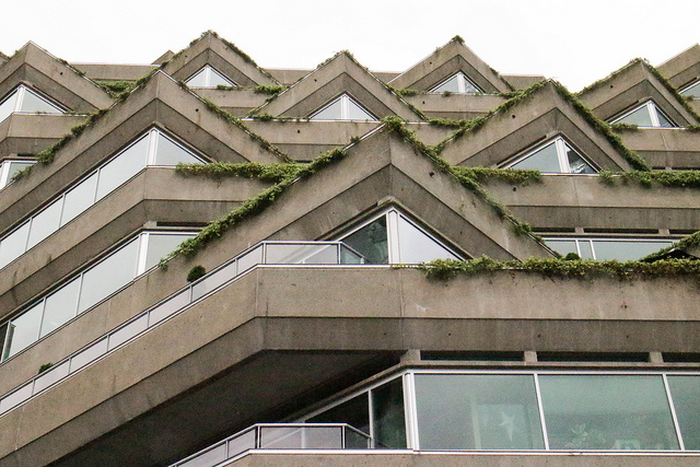Evergreen Building - Architect Magazine