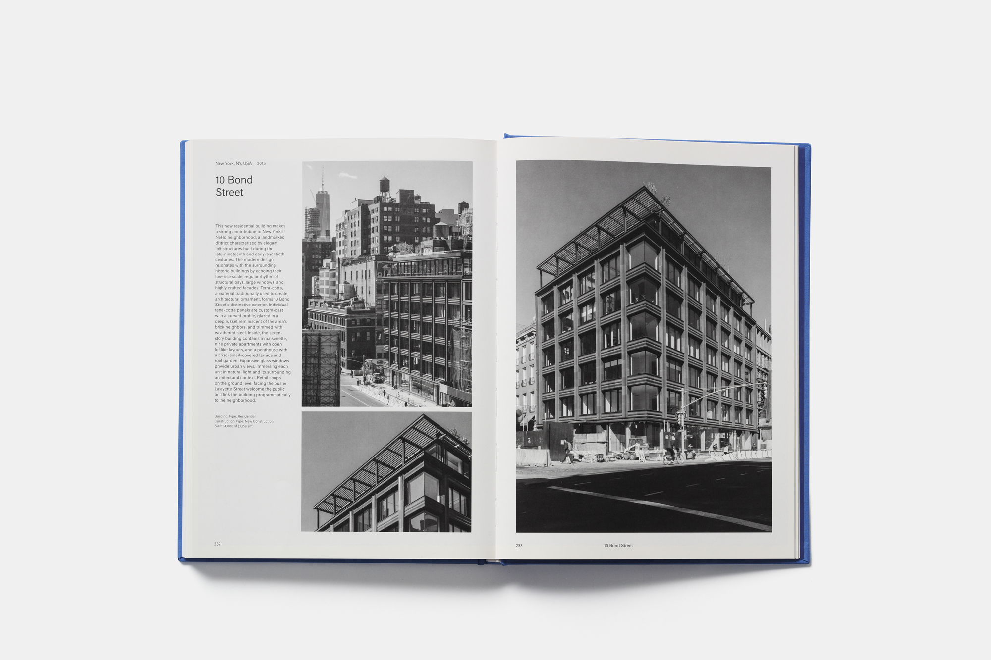 What to Consider Before Making a Monograph