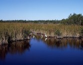 New EPA rules designed to protect America's waterways might make it more difficult for home builders to obtain permits.