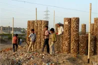 Students help construct the gabion walls of the Patangyu School in Ahmedabad, India.