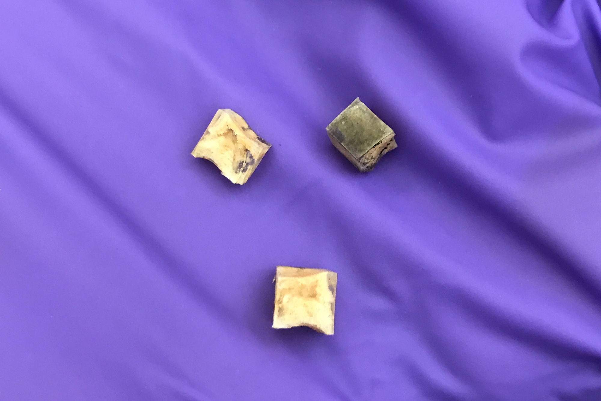 Blocks of hexagonal-boron nitride foam treated with polyvinyl alcohol proved able to adsorb more than three times its weight in carbon dioxide. The reusable material was created at Rice University.
