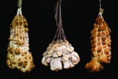 In collaboration with designer Ben Snell, Cupkova manipulated dough through net casting, creating bread that “wants to be teased, caressed, and eaten in chunks.”