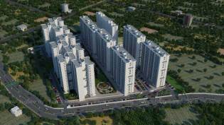 Aerial & Birds Eye View Rendering
