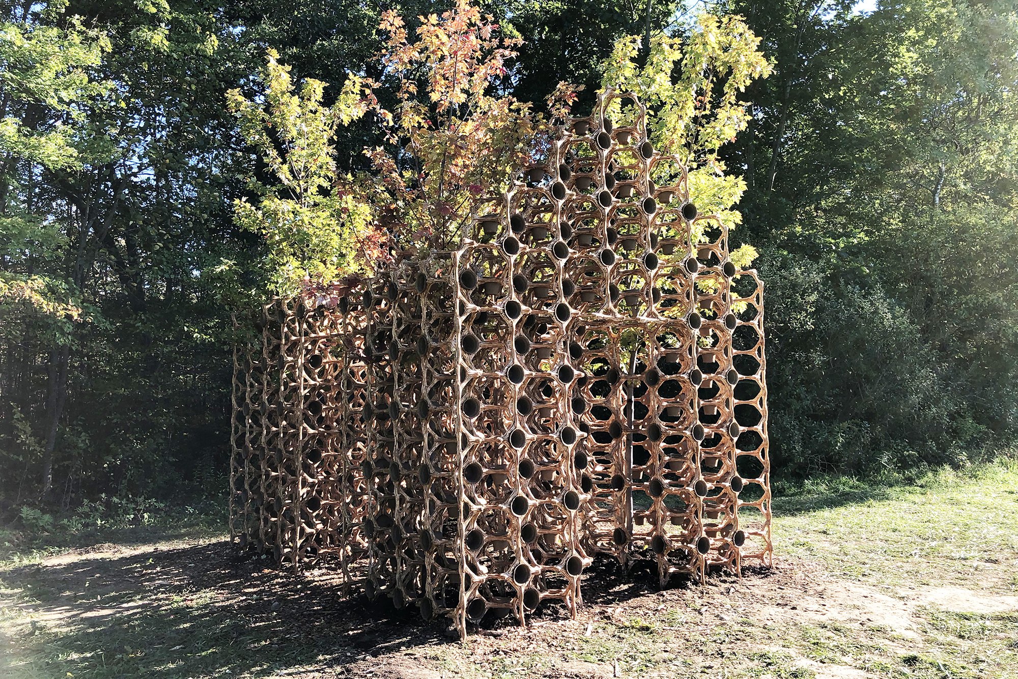 Primitive Hut - Architect Magazine