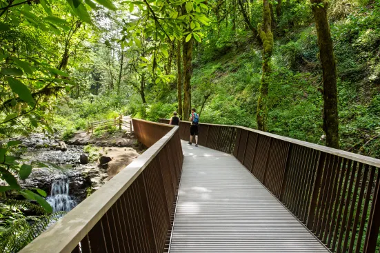 Lower Macleay Trail Bridge