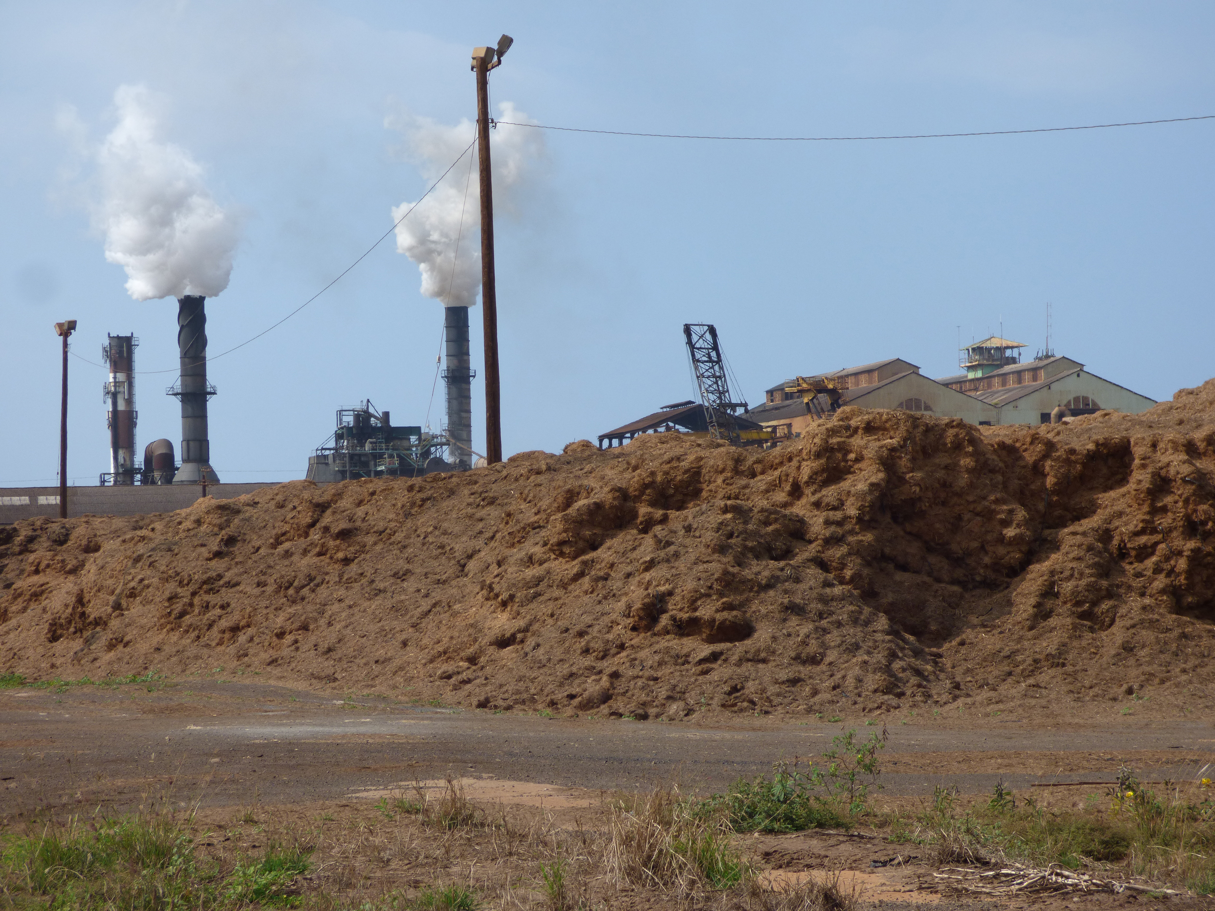 Piles of bagasse on a sugar plantation in Maui