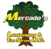 Philadelphia Tree Service Experts