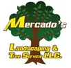 Louisville Tree Service Experts