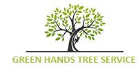 Greenville Tree Service Experts