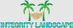 West Palm Beach Tree Service Experts