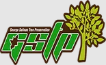 Stockton Tree Service Experts