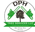 Lansing Tree Service Experts