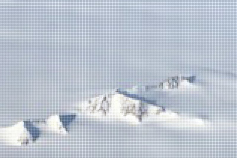 Daniel A. Barber, "Images of Accumulation: Art, Architecture, and the Media of Climate Change," 2017. Digital image. From the 2021 organizational grant to e-flux Architecture for "Accumulation: The Art, Architecture, and the Media of Climate Change"