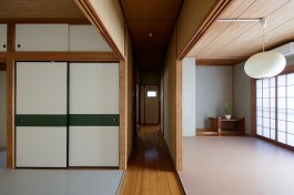 The tone and texture of the wood stands out
