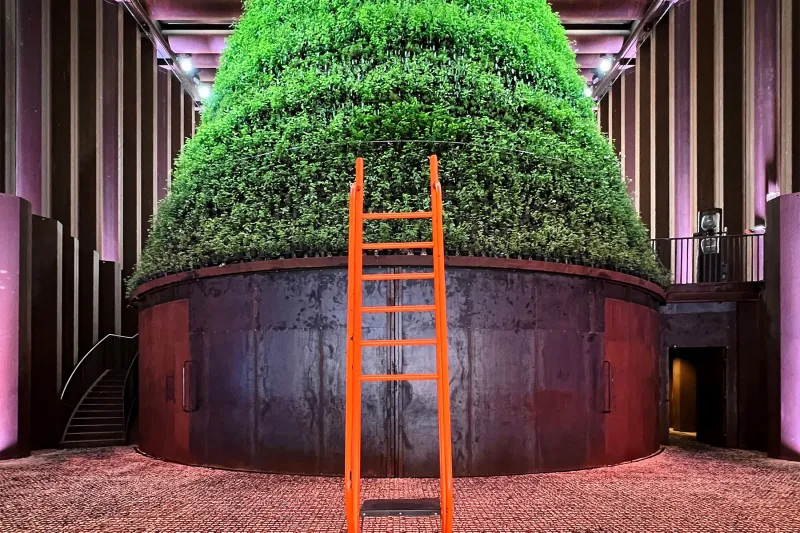 Vertical farming at the Netherlands Pavilion