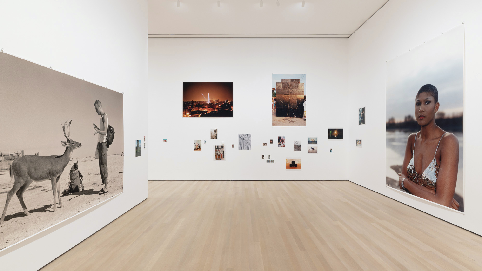 Seeing Real Architecture: Wolfgang Tillmans at MoMA