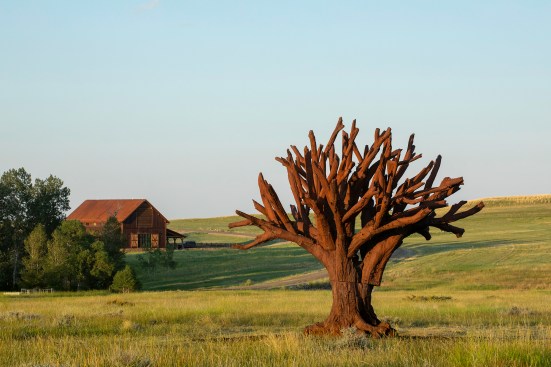 Ai Weiwei, Iron Tree, 2013. Cast in iron, 20.5’ x 23’ x 23’.