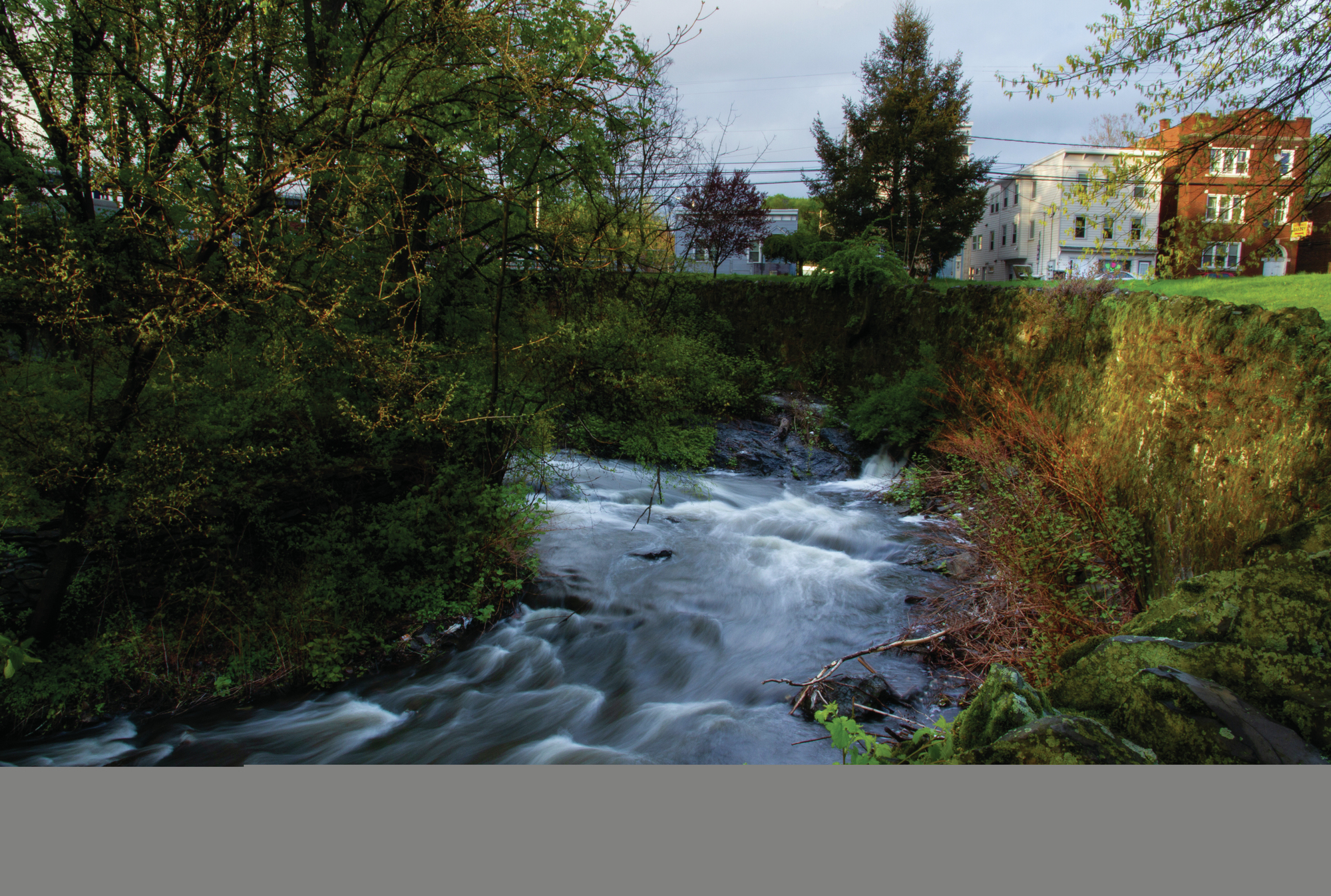 Imagining Abundant Futures.