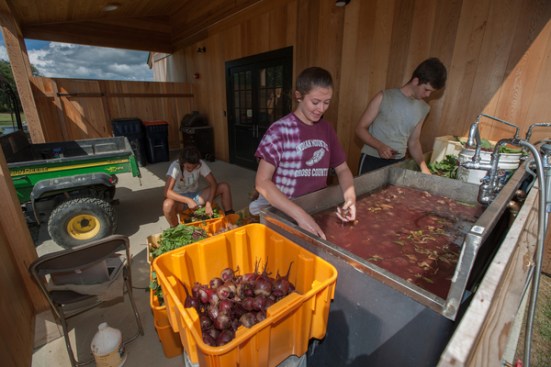 Vegetable wash room