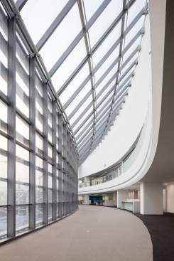 SKylight